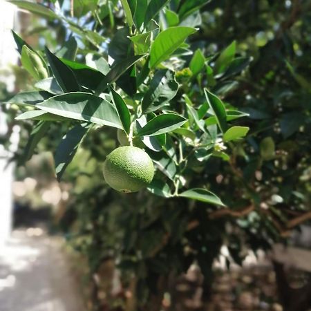 Apartmani Lala 2 Čanj 外观 照片