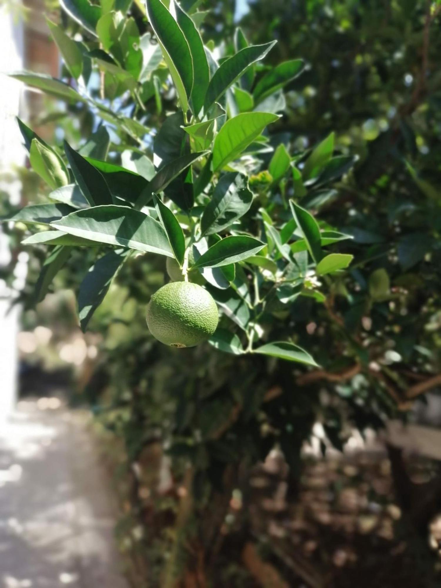 Apartmani Lala 2 Čanj 外观 照片